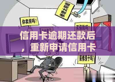 信用卡逾期还款后，重新申请信用卡的步骤与影响详解