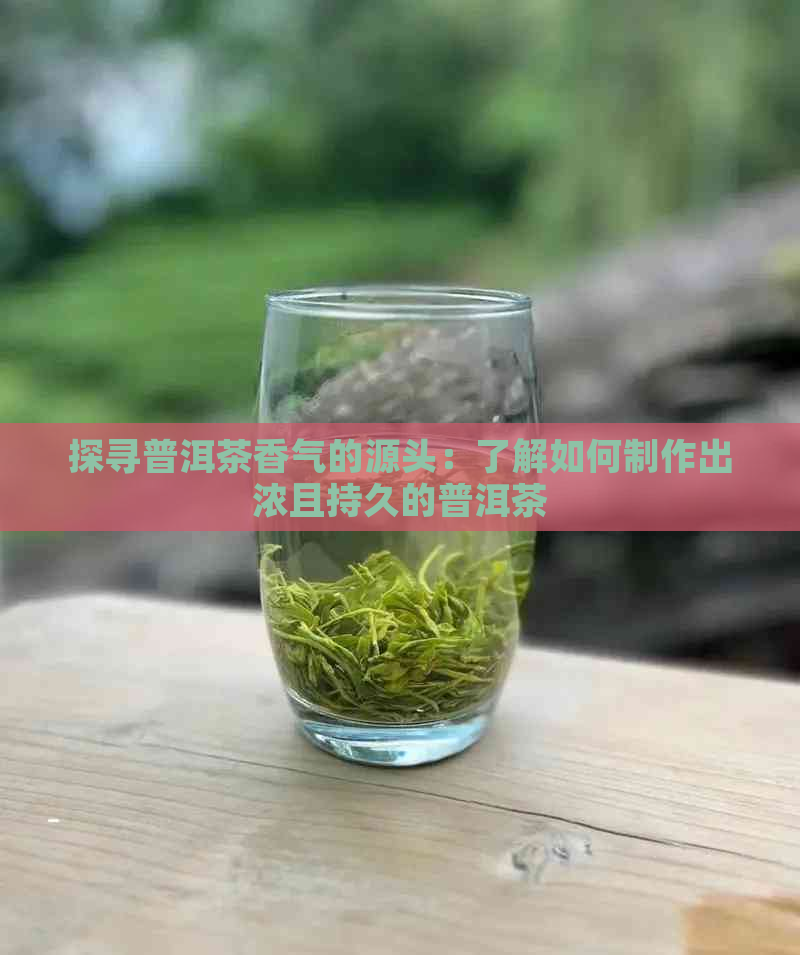 探寻普洱茶香气的源头：了解如何制作出浓且持久的普洱茶