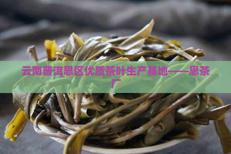 云南普洱思区优质茶叶生产基地——思茶厂