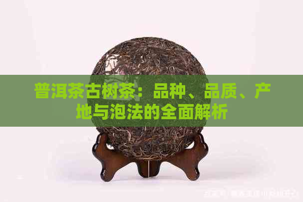 普洱茶古树茶：品种、品质、产地与泡法的全面解析