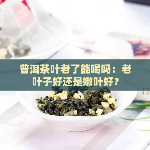 普洱茶叶老了能喝吗：老叶子好还是嫩叶好？