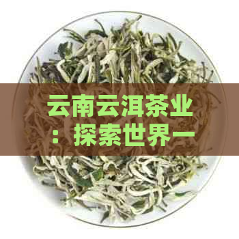 云南云洱茶业：探索世界一流的云南普洱茶，品质与历的完美融合