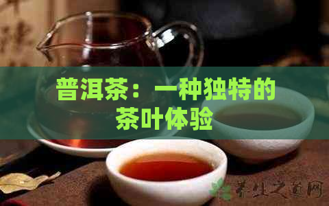 普洱茶：一种独特的茶叶体验