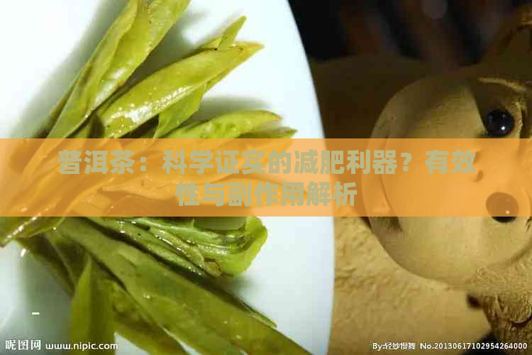 普洱茶：科学证实的减肥利器？有效性与副作用解析