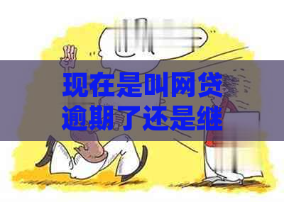 现在是叫网贷逾期了还是继续以贷养贷呢