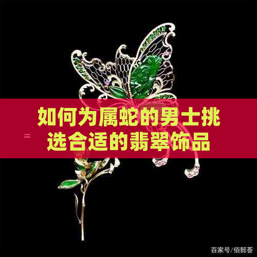 如何为属蛇的男士挑选合适的翡翠饰品