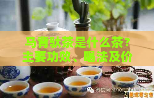 马背驮茶是什么茶？主要功效、喝法及价格一览，是否为普洱茶？