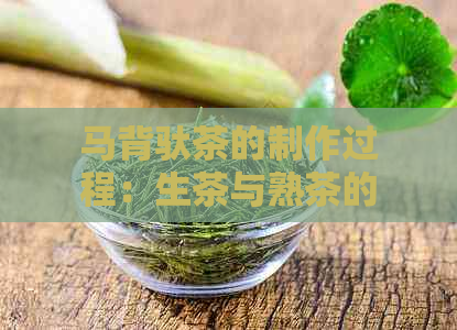 马背驮茶的制作过程：生茶与熟茶的区分方法及其原因解析