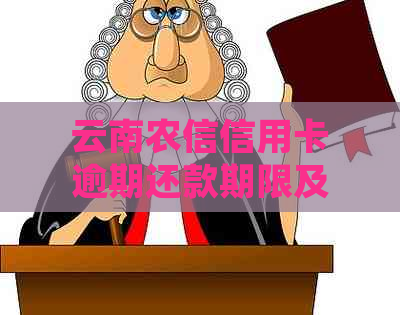 云南农信信用卡逾期还款期限及罚息详细解答：1天、7天、30天各有什么影响？