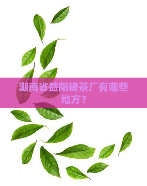 湖南省益阳砖茶厂有哪些地方？