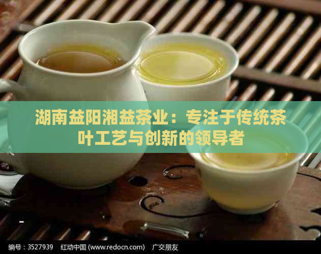 湖南益阳湘益茶业：专注于传统茶叶工艺与创新的领导者