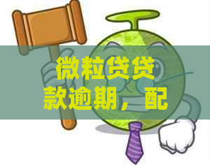 微粒贷贷款逾期，配偶受影响？探讨逾期后果