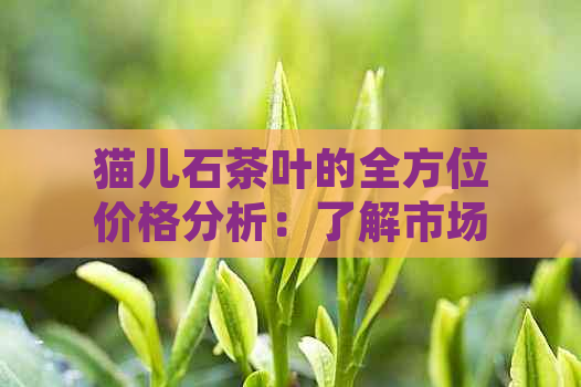 猫儿石茶叶的全方位价格分析：了解市场行情，轻松选购优质茶叶