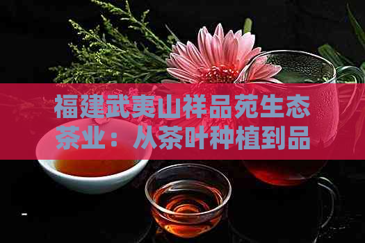 福建武夷山祥品苑生态茶业：从茶叶种植到品质保证的全方位解答