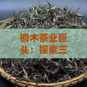 桐木茶业巨头：探索三大茶企的传奇之路