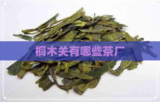 桐木关有哪些茶厂