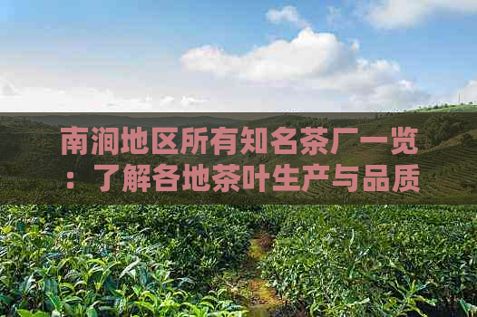 南涧地区所有知名茶厂一览：了解各地茶叶生产与品质