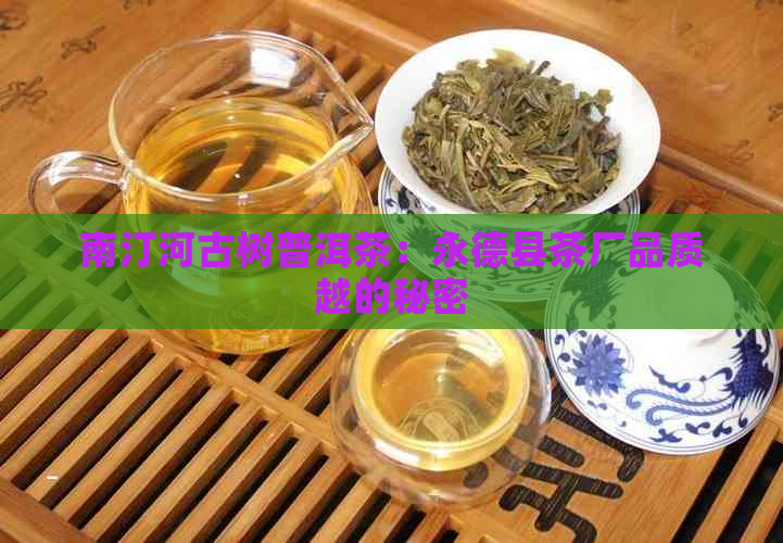 南汀河古树普洱茶：永德县茶厂品质越的秘密