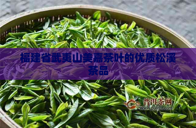 福建省武夷山美嘉茶叶的优质松溪茶品