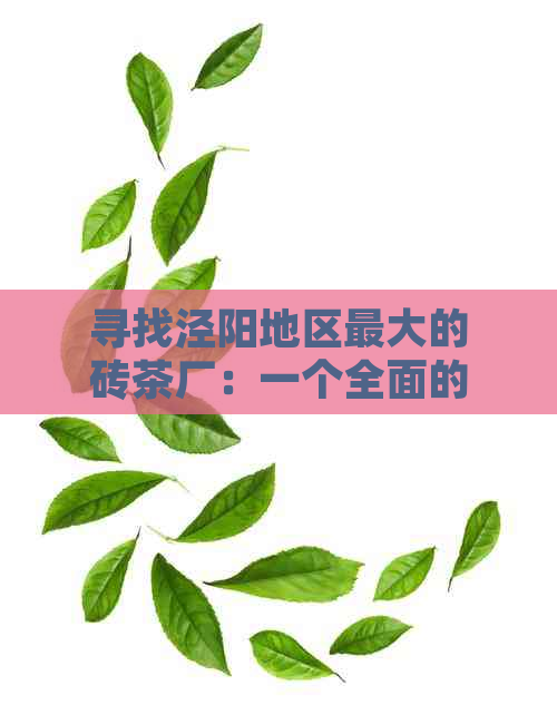 寻找泾阳地区更大的砖茶厂：一个全面的比较和排名