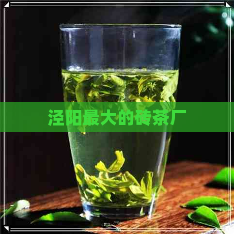 泾阳更大的砖茶厂