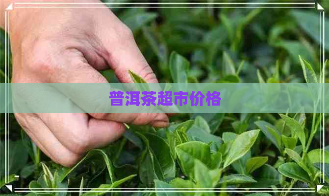 普洱茶超市价格