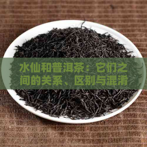 水仙和普洱茶：它们之间的关系、区别与混淆解答