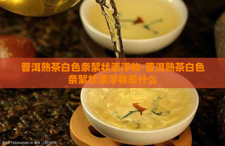 普洱熟茶白色条絮状漂浮物-普洱熟茶白色条絮状漂浮物是什么