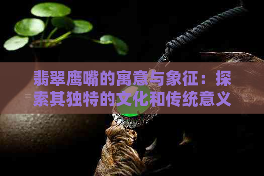 翡翠鹰嘴的寓意与象征：探索其独特的文化和传统意义