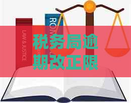 税务局逾期改正限期：了解逾期天数、如何申报以及可能面临的后果