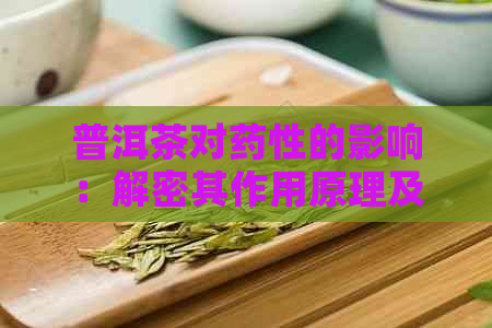 普洱茶对药性的影响：解密其作用原理及适用范围