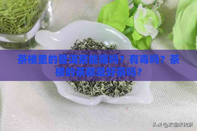 茶楼里的普洱茶能喝吗？有吗？茶楼的茶都是好茶吗？