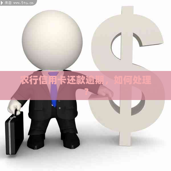 农行信用卡还款逾期，如何处理？