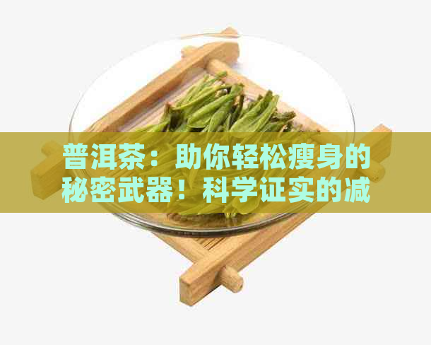 普洱茶：助你轻松瘦身的秘密武器！科学证实的减肥效果与塑身原理