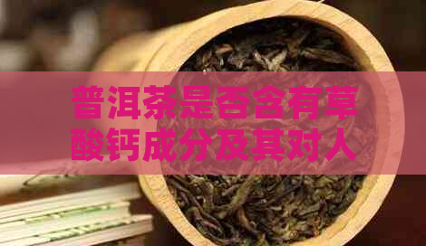 普洱茶是否含有草酸钙成分及其对人体健的影响？