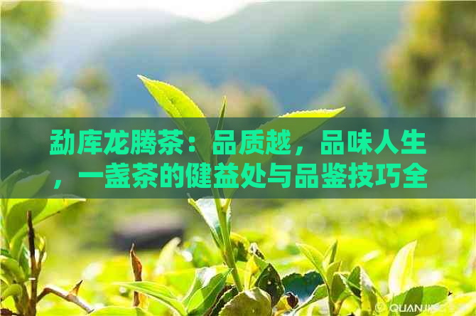 勐库龙腾茶：品质越，品味人生，一盏茶的健益处与品鉴技巧全解析