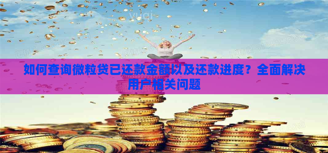 如何查询微粒贷已还款金额以及还款进度？全面解决用户相关问题