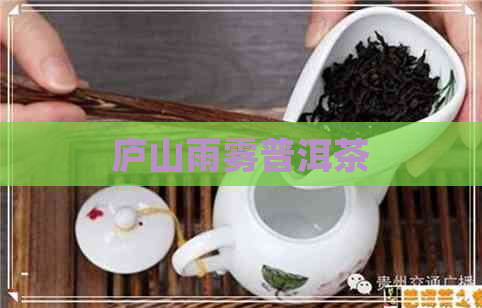 庐山雨雾普洱茶