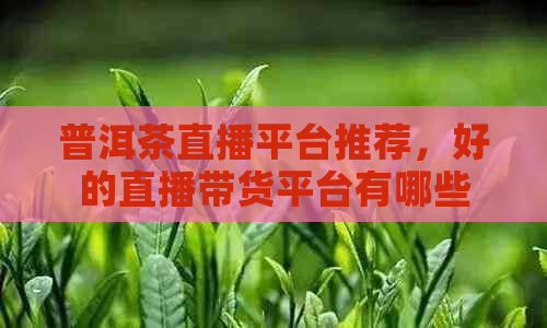 普洱茶直播平台推荐，好的直播带货平台有哪些？