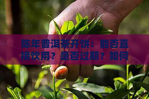 陈年普洱茶开饼：能否直接饮用？是否过期？如何品鉴？