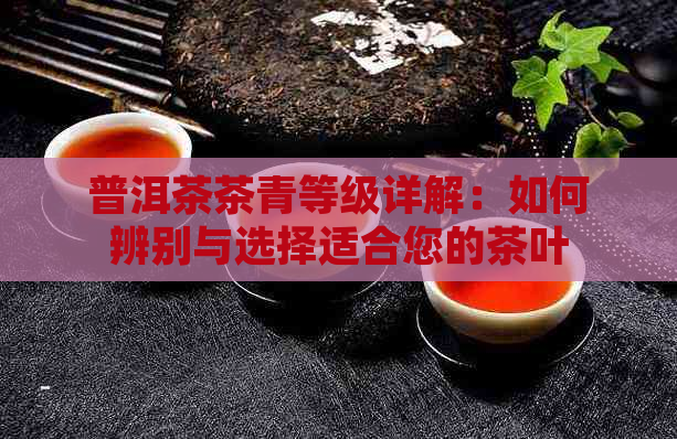 普洱茶茶青等级详解：如何辨别与选择适合您的茶叶