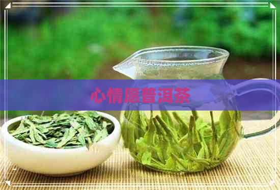 心情愿普洱茶