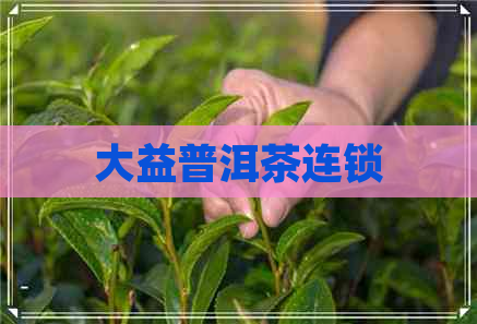 大益普洱茶连锁