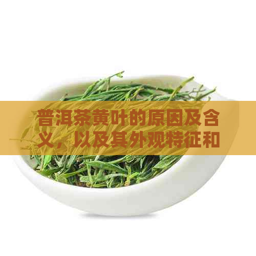 普洱茶黄叶的原因及含义，以及其外观特征和功效。