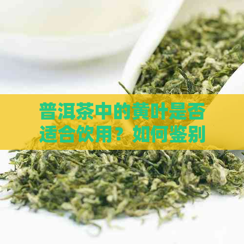 普洱茶中的黄叶是否适合饮用？如何鉴别与利用普洱茶中的黄叶？