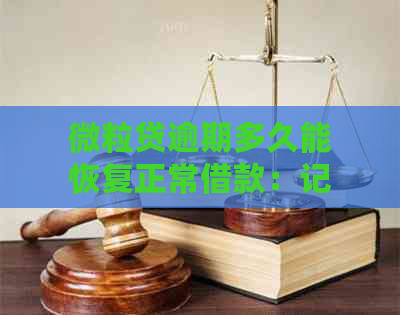 微粒贷逾期多久能恢复正常借款：记录、额度及还款时间全解析