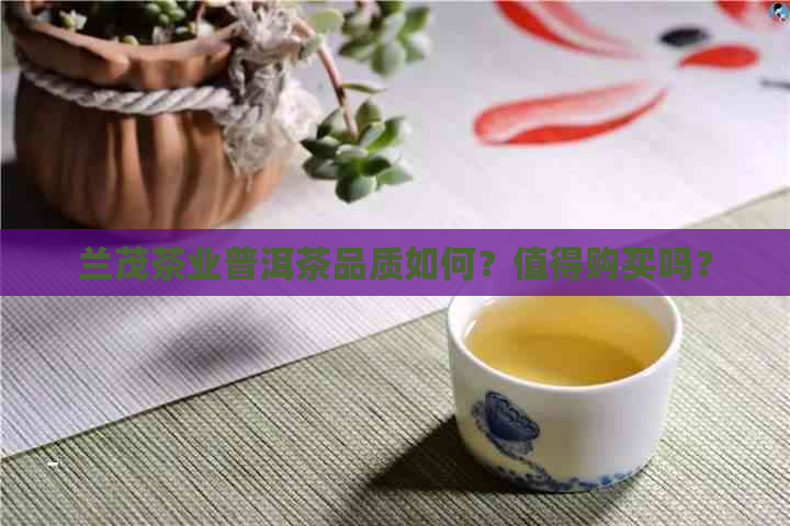 兰茂茶业普洱茶品质如何？值得购买吗？