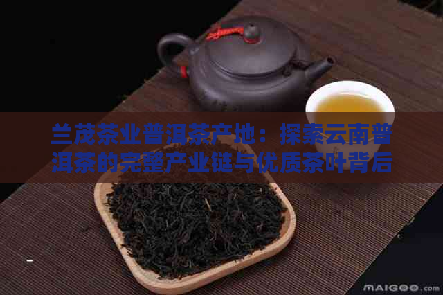 兰茂茶业普洱茶产地：探索云南普洱茶的完整产业链与优质茶叶背后的故事