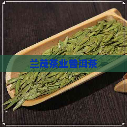 兰茂茶业普洱茶