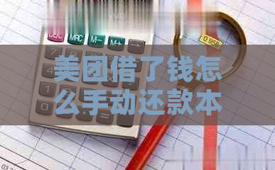 美团借了钱怎么手动还款本期及分期，一笔一笔操作指南